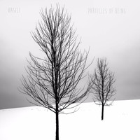 Vasili - Particles Of Being