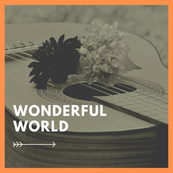 Various Artists - Wonderful World