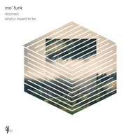 Mo' Funk - Resurrect / What Is Meant to Be
