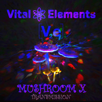 Vital Elements - Mushroom X