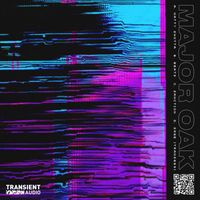 Major Oak - Natty Shotta
