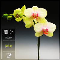 Pashaa - Sirene