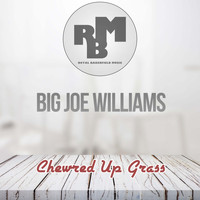 Big Joe Williams - Chewred Up Grass