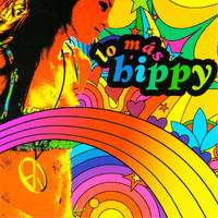 The Sunshine Orchestra - Lo Más Hippy