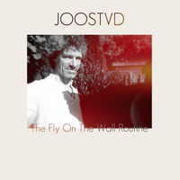 JoosTVD - The Fly on the Wall Routine
