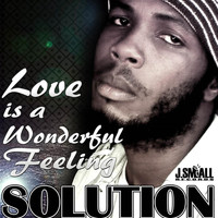 Solution - Love Is A Wonderful Feeling