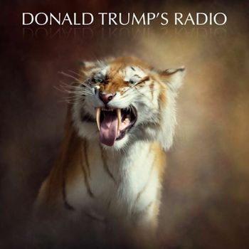Various Artists - Donald Trump's Radio