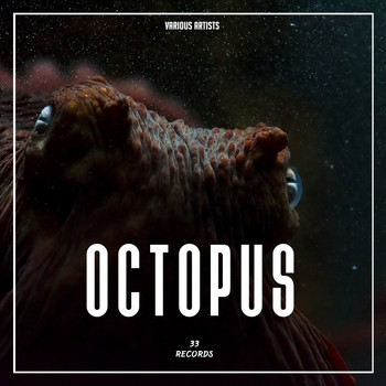 Various Artists - Octopus
