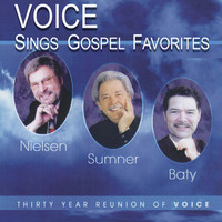 Voice - Voice Sings Gospel Favorites