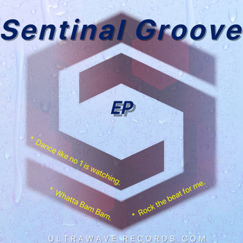 Sentinel Groove - Sentinal Groove