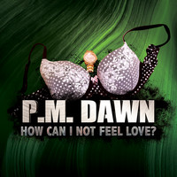 P.M. Dawn - How Can I Not Feel Love?