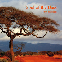John Patitucci - Soul of the Bass