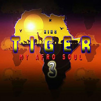 Tiger - My Afro Soul 3