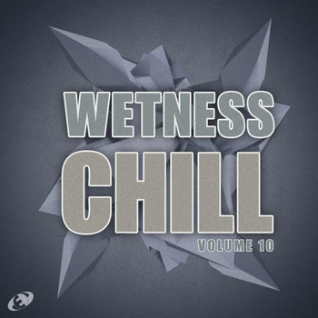 Various Artists - Wetness Chill, Vol.10