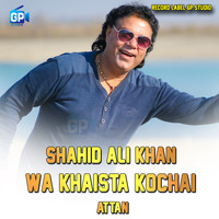 Shahid Ali Khan - Wa Khaista Kochai (Attan)
