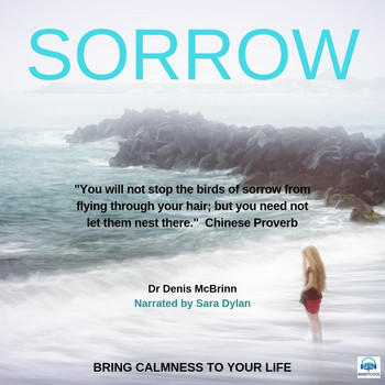 Dr Denis McBrinn - Sorrow (feat. Sara Dylan)