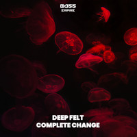 Deep Felt - Complete Change