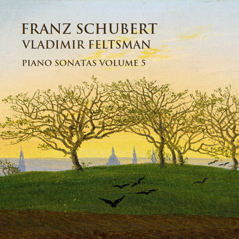 Vladimir Feltsman - Schubert: Piano Sonatas Vol. 5