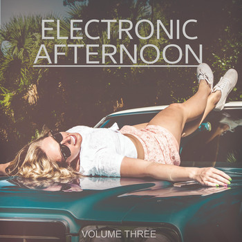 Various Artists - Electronic Afternoon, Vol. 3 (Wonderful Chilled Electronic Tunes For Beach, Park And Home)
