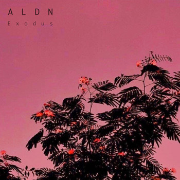ALDN - Exodus (Explicit)