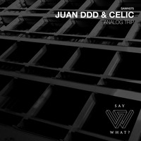 Juan Ddd, Celic - Analog Trip