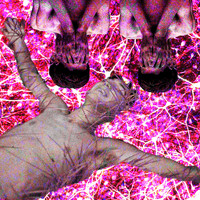 K4 - Apoptosis (Explicit)
