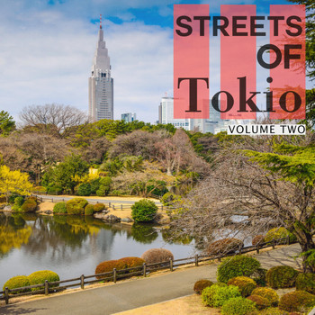 Various Artists - Streets Of - Tokio, Vol. 2 (Okonomiyaki For The Belly, Deep House For The Soul)