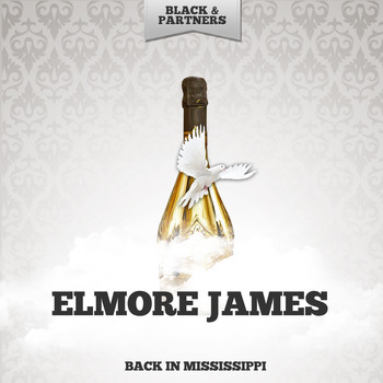 Elmore James - Back In Mississippi