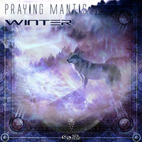 Praying-Mantis - Winter