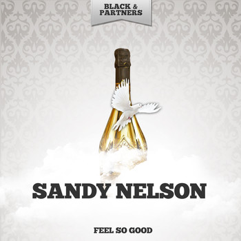 Sandy Nelson - Feel So Good
