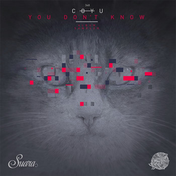 Coyu - You Don't Know (Album Sampler)