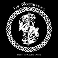 The Wolfhounds - Star of the County Down