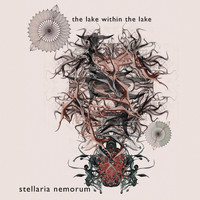 Stellaria Nemorum - The Lake Within the Lake