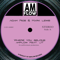 AmFlow - Where You Belong
