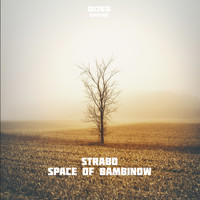 Strabo - Space of Bambinow