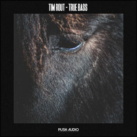 Tim Rout - True Bass