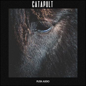 Various Artists - Catapult