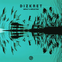 Dizkret - Impact / Reflection