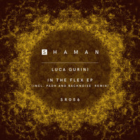 Luca Gurini - In The Flex EP