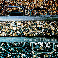 Richard Bundy - Driftwood