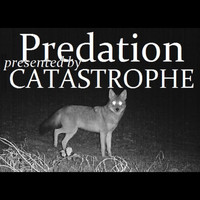 Catastrophe - Predation