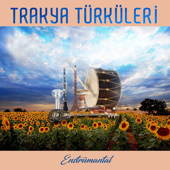 Çeşitli Sanatçılar - Trakya Türküleri (Enstrümantal)