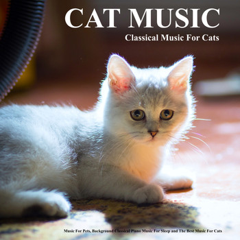 Cat Music, Music For Cats, Music for Pets - Cat Music: Classical Music For Cats, Music For Pets, Background Classical Piano Music For Sleep and The Best Music For Cats