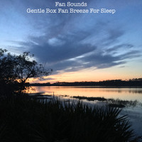 Fan Sounds - Gentle Box Fan Breeze For Sleep