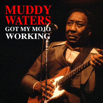 Muddy Waters - Got My Mojo Working