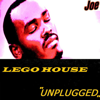 Joe - LEGO HOUSE (Unplugged)