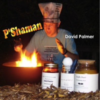 David Palmer - P'shaman