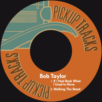 Bob Taylor - If I Had Back What I Used to Have