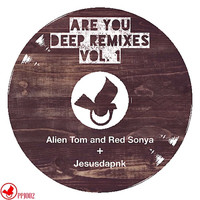 Demarkus Lewis - Are You Deep (Remixes, Vol. 1)