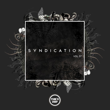 Various Artists - Syndication, Vol. 37